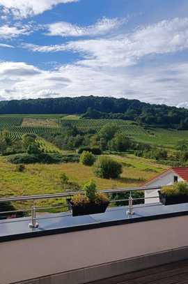 Penthouse mit unverbaubarem Blick auf die Weinberge