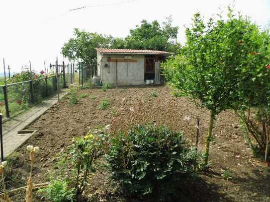 Einfamilienhaus in ruhiger Ortslage im Ortsteil Braunsroda