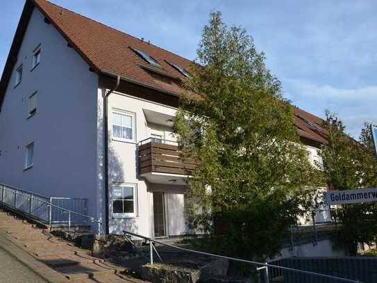 Frisch renoviertes 1-Zimmer-Apartment in Niederstetten