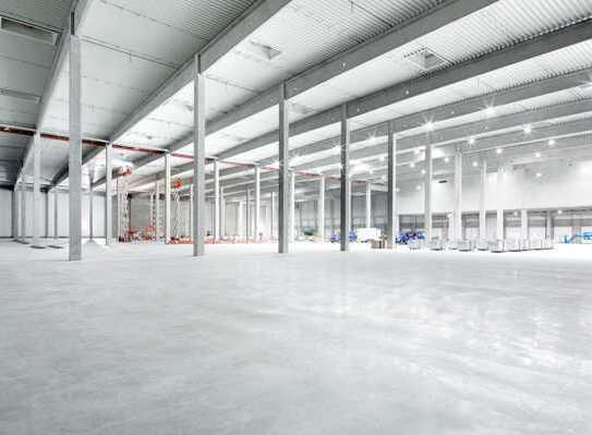 "BAUMÜLLER & CO." - ca. 50.000 m² Hallenfläche - ebenerdige Andienung + Rampe