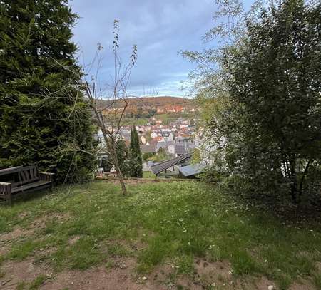 Schöner Ausblick, Terrasse und Garten