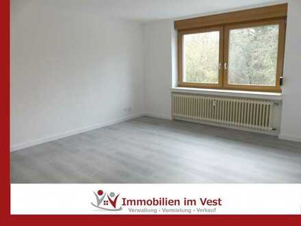 ***Singles aufgepasst*** renoviertes Apartment zu vermieten