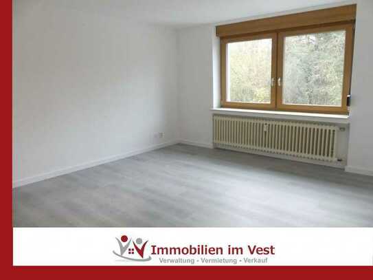 ***Singles aufgepasst*** renoviertes Apartment zu vermieten