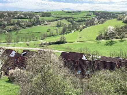 helle 3-Zi-Wohnung mit toller Aussicht zu vermieten