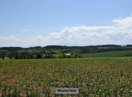 Unland und Landwirtschaftsflächen