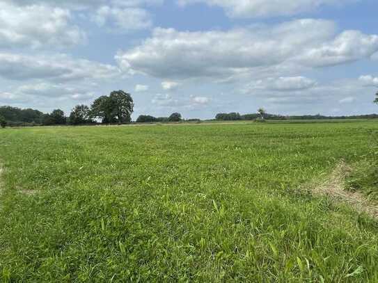 Landwirtschaftliche Nutzfläche in Stadtlohn