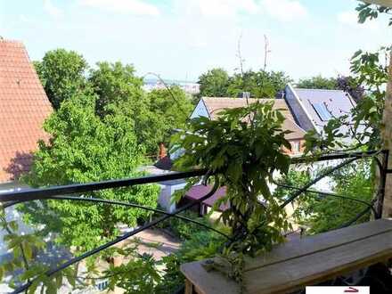 BLICK ÜBER GRÜNSTADT INKLUSIVE ...