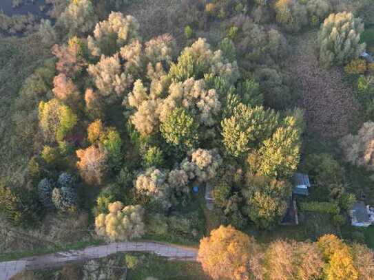 Idyllisches Grundstück in Küstennähe - unbebautes Grundstück auf der Halbinsel Drigge von Rügen