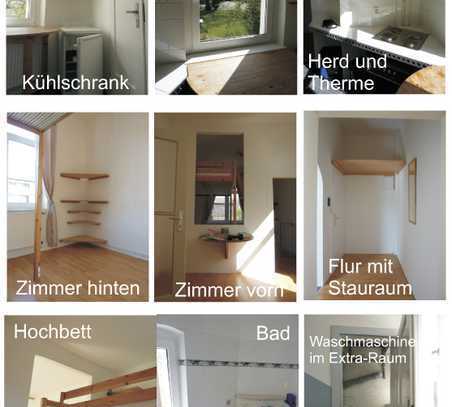 Altbau-Wohnung am Park