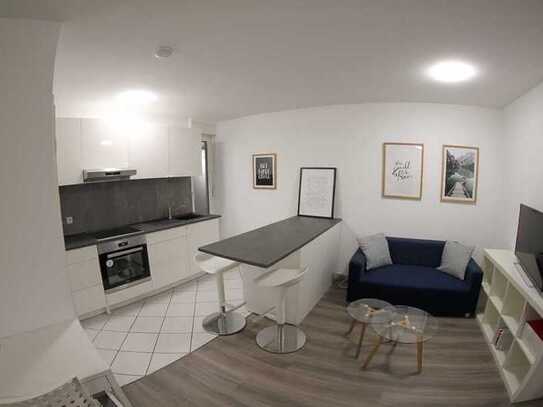 Modernes Studio-Apartment in Mosbach-Diedeshiem