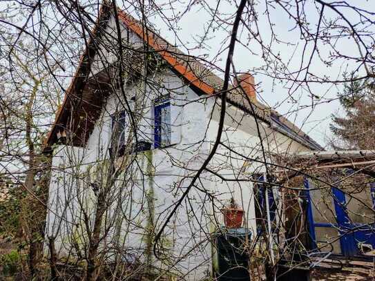 Teilsaniertes Bauernhaus, mit Garage im ehem. Stallgebäude, auf einem großem Grundst