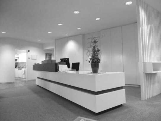 :::IGENUS - Modernes Büro in Schwabing