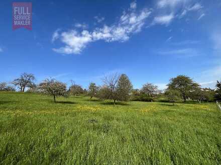 Landwirtschaftliche Grünfläche direkt am Wohngebiet