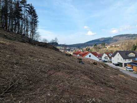 Hang-Grundstück in Altenbach mit Bauerlaubnis