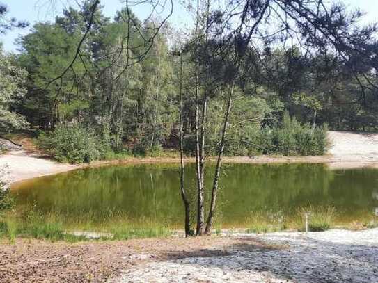 Ruhig gelegen im Wald am See – Ihr Rückzugsort in der Natur