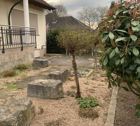 Im Dümpfel 18, 63911 Klingenberg