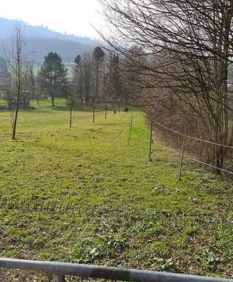 Grundstück in herrlicher Hanglage in Leopoldstal