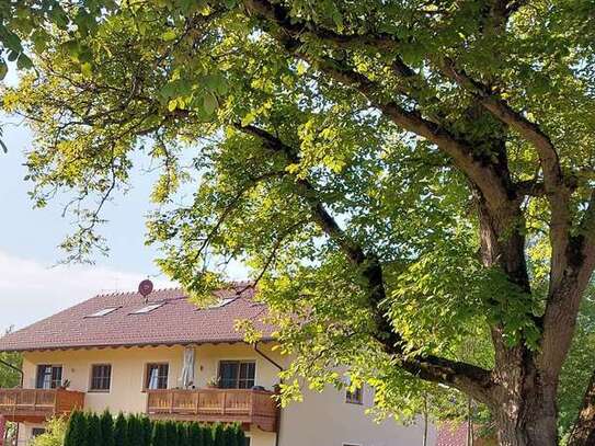 Wohnung im 1. Stock mit Balkon in ruhiger Lage