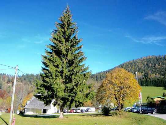 Berchtesgaden-Obersalzberg: Große 4 Zimmerwohnung mit Terrasse & Garagenplatz