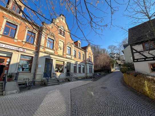 Offen gehaltenes Apartment in schöner Lage von Pillnitz