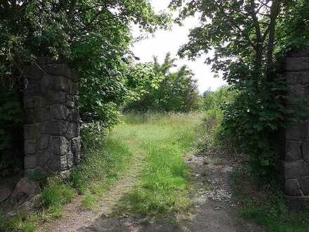 Rarität , Park-Grundstück Großsteinberg