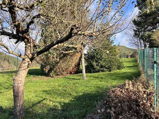 Idyllisches Haus im Grünen mit Werkstatt und Garten zu verkaufen