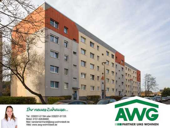 3-Raum Wohnung - WG geeignet