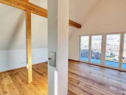 5 Zimmer NEUBAU Wohnung mit Traumblick, Garage und Stellplatz! Unabhängig von Öl und Gas!