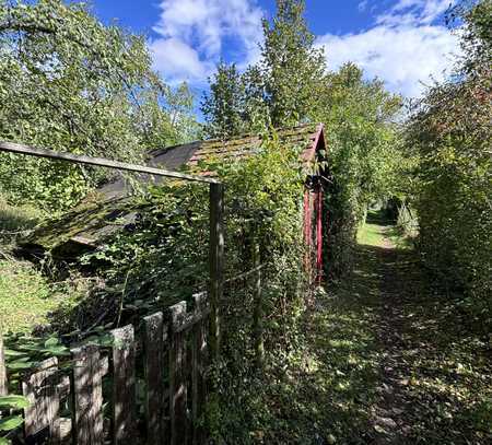 Gepflegter Garten in Stuttgart - Wangener Höhe