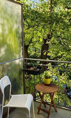 Schöne möblierte 2 Zimmer Wohnung mit Stuckdecken und Balkon in Tiergarten Moabit