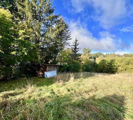 Natur pur- Top Lage Suhl/Lautenberg! Wohnhaus mit tollem Grundstück in Waldrandlage zu verkaufen