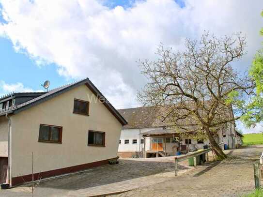 Bauernhof in Naturlage mit Wohnhaus, Stallungen, Scheune, Remisen, Weideland + 2. Bauparzelle