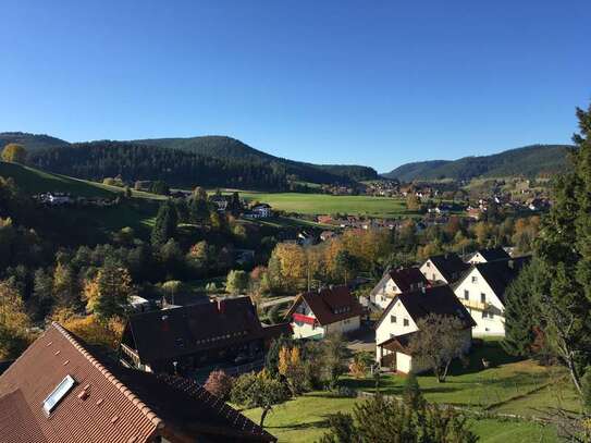 Große renovierte 4,5-Zimmer-Wohnung mit toller Aussicht und EBK!