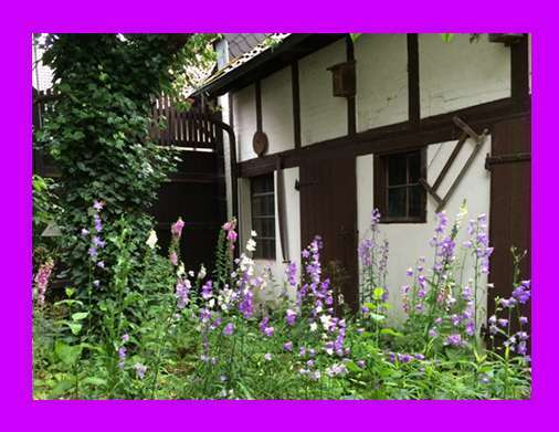 3-Zimmer-Wohnung in der Altstadt von Goslar