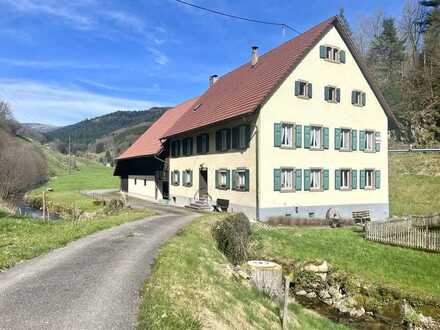 Traum vom eigenen Haus mit großem Hof und Grundstück im Kleinen Wiesental in Bürchau