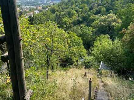 Zu Verpachten: Gartengrundstück in Stuttgart mit sehr guter Lage und Aussicht