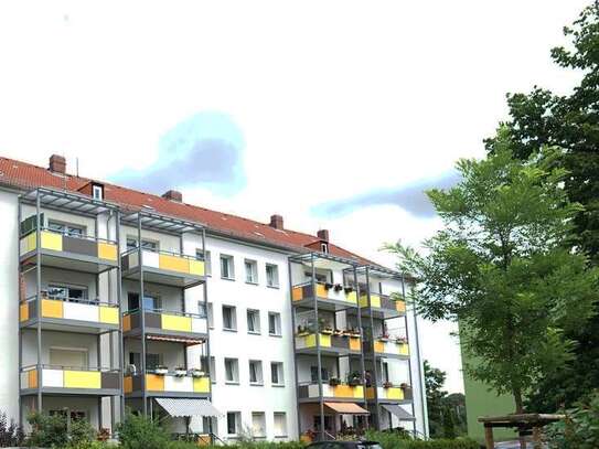 ** 3 Monate kaltmietfrei ** Zum Selbstausbau ! Helle 3-Raum-Wohnung mit Balkon