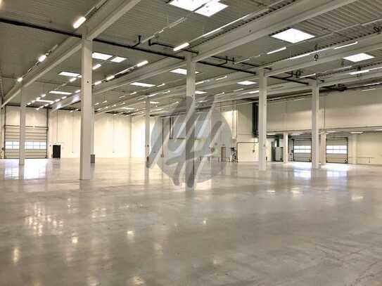 SCHNELL VERFÜGBAR ✓ RAMPE + EBEN ✓ Lager-/Logistik (8.000 m²) & Büro (1.000 m²) zu vermieten