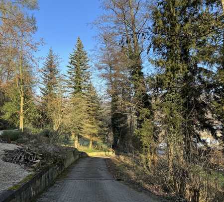 3,5-Zimmer-Wohnung in Angelbachtal