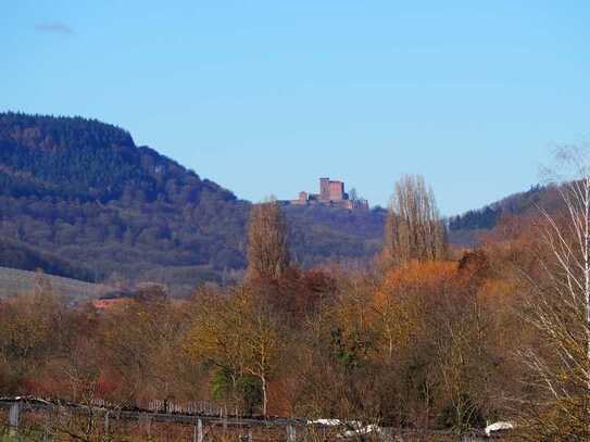 Großzügiges 2-3 Familienhaus mit ganz besonderer Aussicht