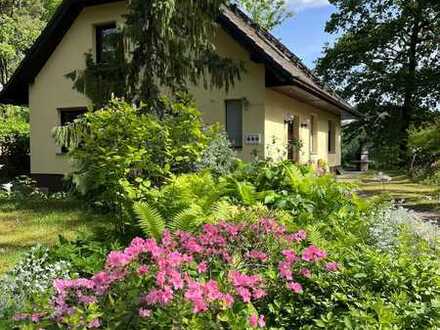 Großzügiges Haus im Grünen direkt am Elsensee zu vermieten!
