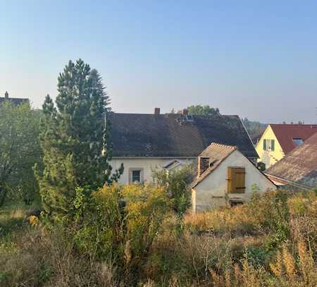 Liebhaberobjekt in Radebeul