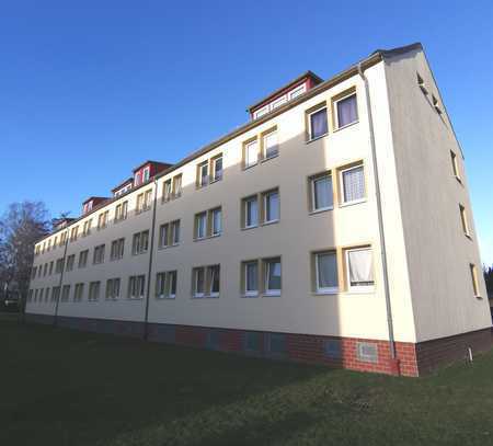 Zeit zum Entspannen! Ruhige 1 Zimmer Wohnung mit Duschbad in Reinberg zu vermieten