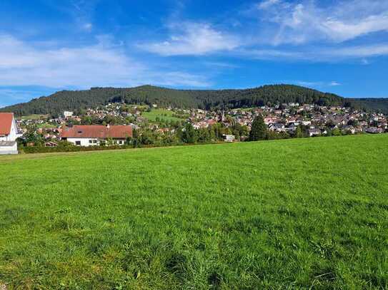 Großes Grundstück in Baiersbronn: tlw. Bauerwartungsland in Top-Lage