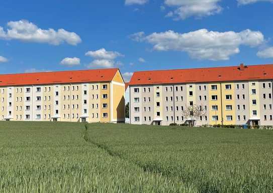 Drei-Raum-Wohnung mit Blick ins Grüne