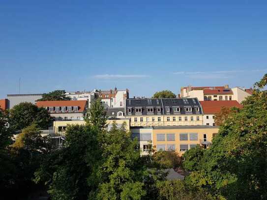 Schöne Altbauwohnung im beliebten Mittekiez ruhig mit Grünblick - BEGRENZT AUF 2 JAHRE!