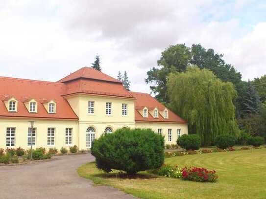 Wohnen wie im Märchen - Schloß Nischwitz bei Wurzen, 3 RW mit Terrasse und Stellplatz