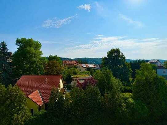 Mit Weitblick! DG-Maisonette mit 2 Dachterrassen im beliebten Laubegast!