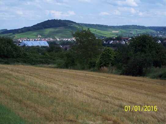 Heilbronn-Neckargartach Bauplatz Bernhäusle, Friedrich-von Schaal-Straße