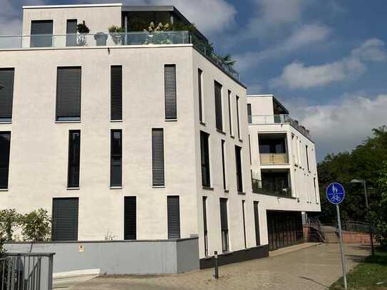 Lichtdurchflutete 3-Zimmer Wohnung mit großer Dachterrasse an der Queichpromenade